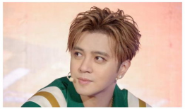 娱乐圈吃瓜爆料罗志祥,娱乐圈的瓜田惊魂